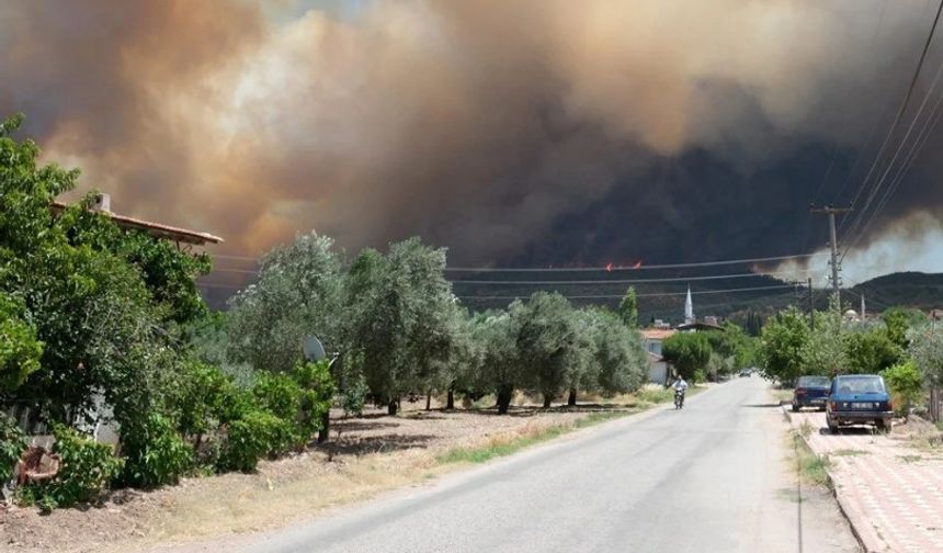Türkiye Genelinde Orman Yangınlarıyla Mücadele: 150 Yangın Çıktı, 4'ü Hâlâ Tehlikeli