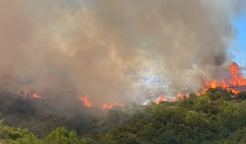 Marmara ve Ege Alarmda: Gemlik’te Deprem, Çeşme ve Bursa’da Yangın Paniği