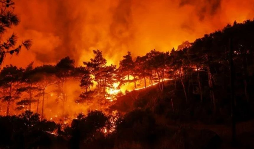 Lazkiye'de 6 Gündür Alevler Sönmüyor: Suriye, Avrupa Birliği’nden Acil Yardım Talep Etti