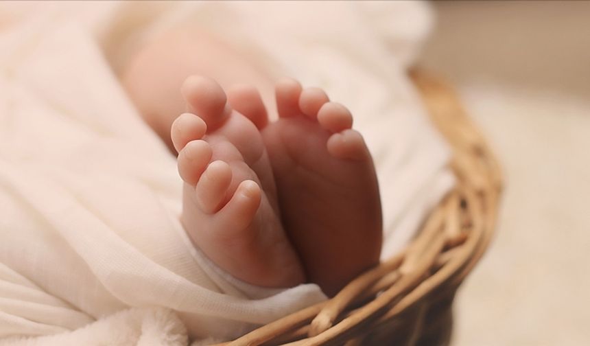 Avusturya’da En Popüler Bebek İsimleri Açıklandı