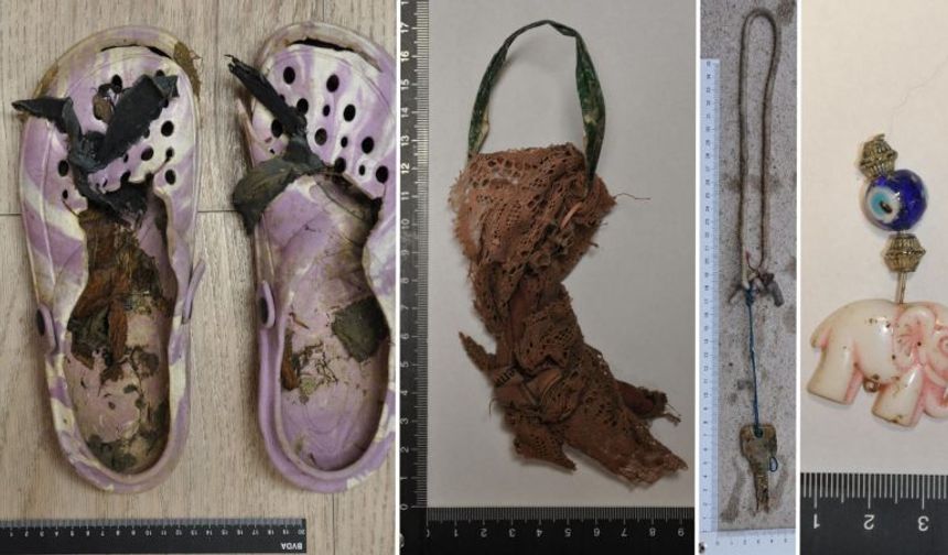 Viyana Yakınlarında Ormanda Bulunan Kadın Cesetinin Kimliği Çözülemiyor