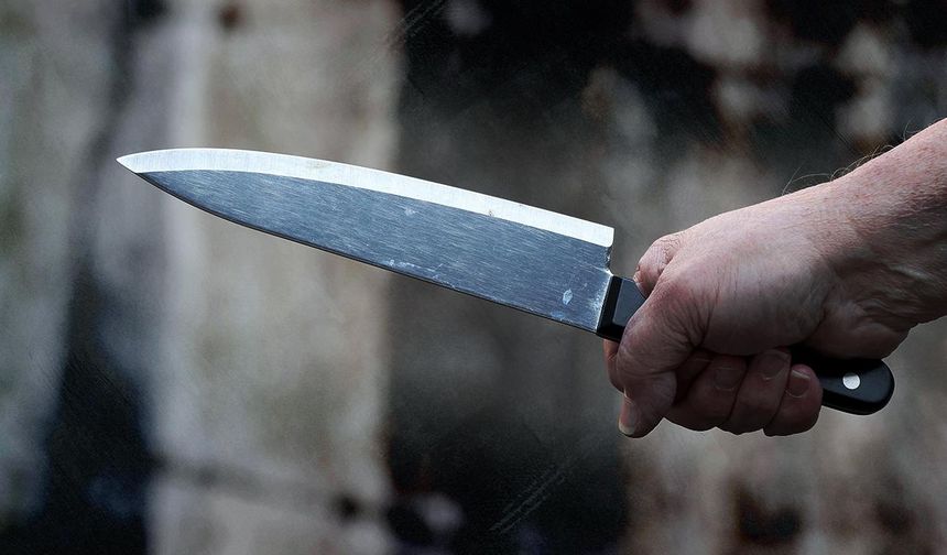 Avusturya’da Bıçak Taşıma Yasağı Ertelendi