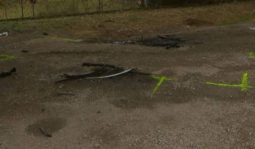 Viyana’da Yanmış Araçta Ceset Bulundu