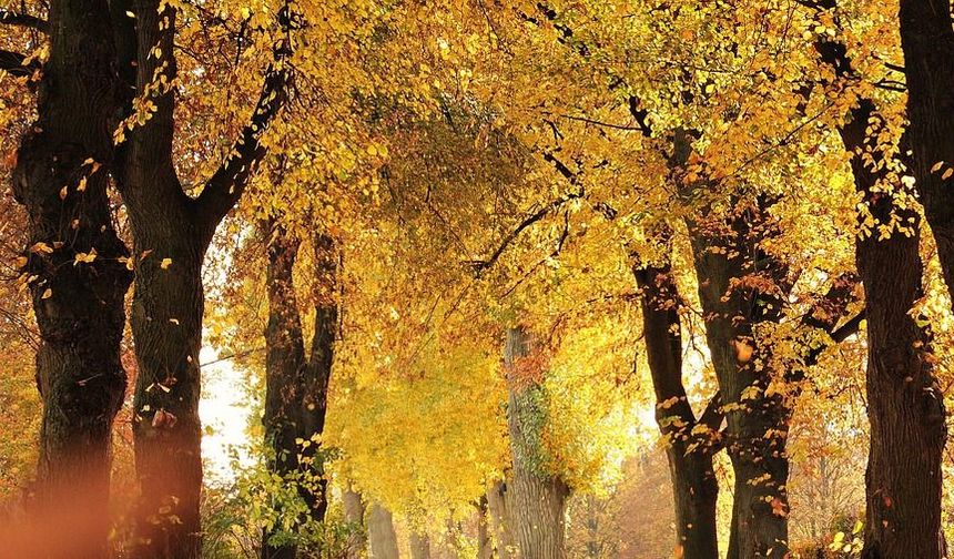 Yüksek Basınç Avusturya’ya Güneşli ve Ilıman Sonbahar Havası Getiriyor