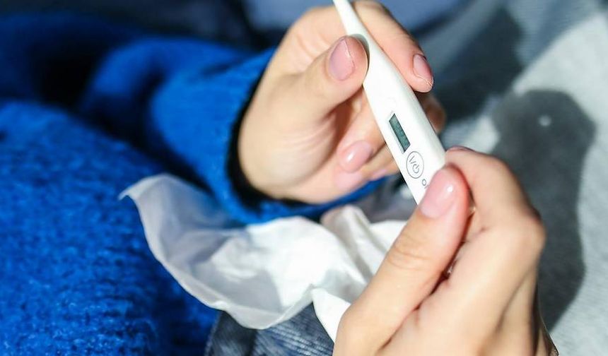 Aşağı Avusturya’da Grip Vakaları Bir Haftada Yüzde 70 Arttı