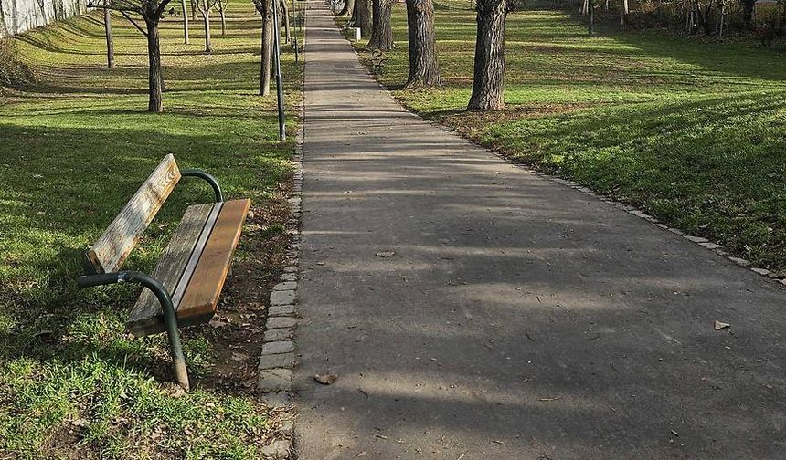 Viyana'da 11 Yaşındaki Çocuk Havai Fişekle Kendini Ağır Şekilde Yaraladı