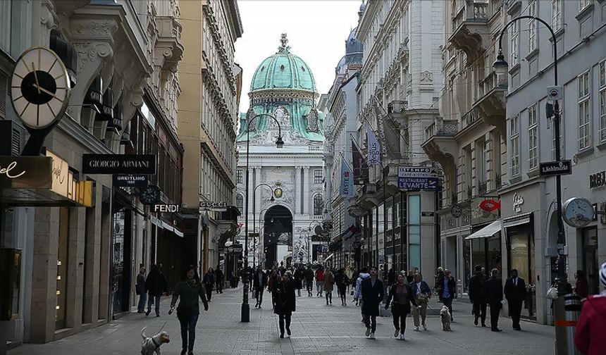 Avusturya’da 2025’in Finansal Vakaları Şaşkınlık Yarattı: İşsiz Ama Yüksek Gelirli Hayatlar