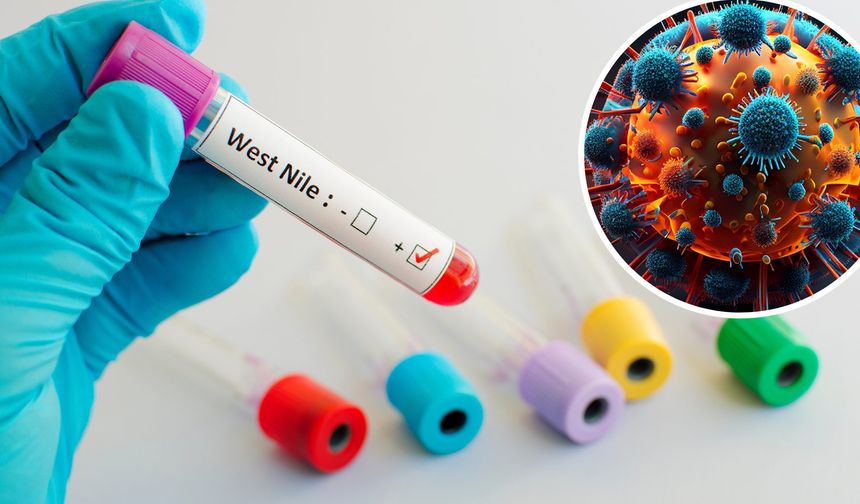 Avusturya’da Batı Nil virüsü alarmı