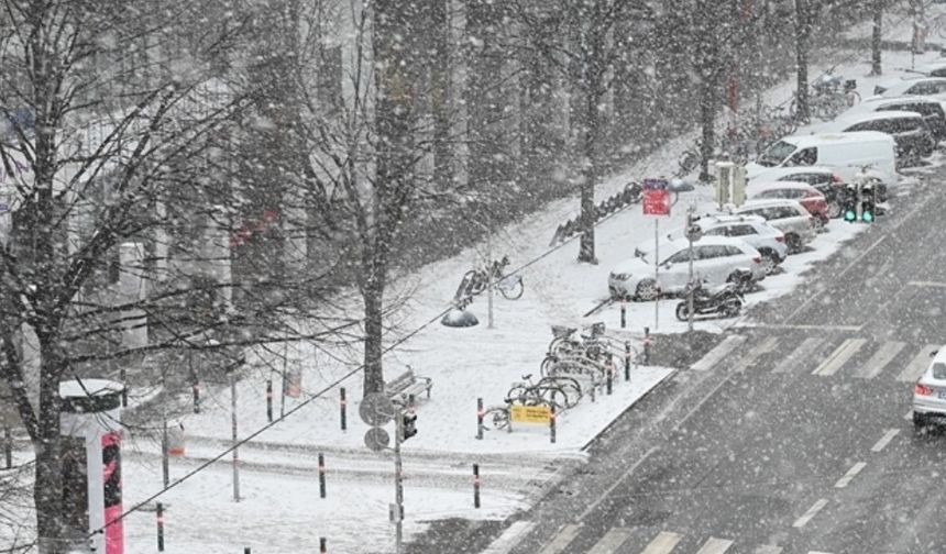 Viyana’da Sürekli Don Uyarısı: Doğu Kesimler Bu Hafta Buz Gibi