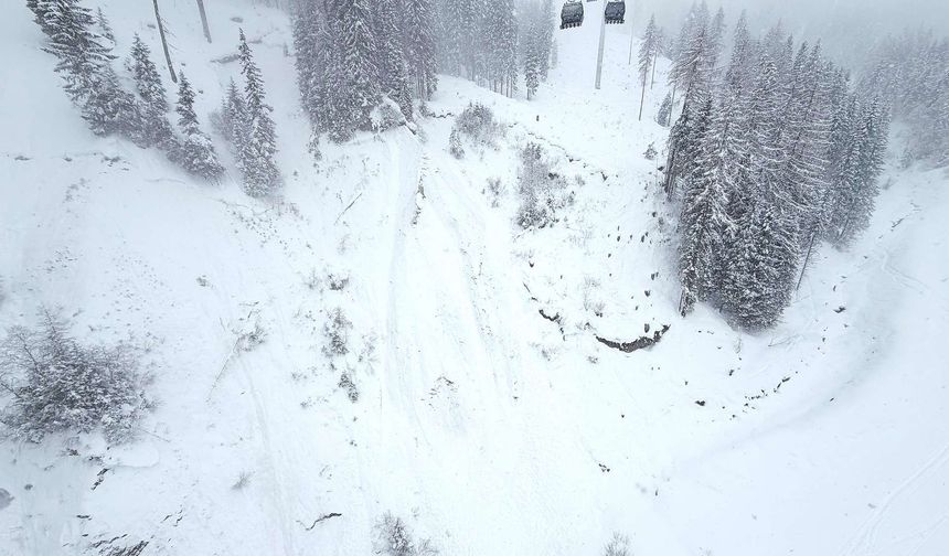Avusturya'da Cuma Gününden Bu Yana Meydana Gelen Çığlarda 7 Kişi Öldü