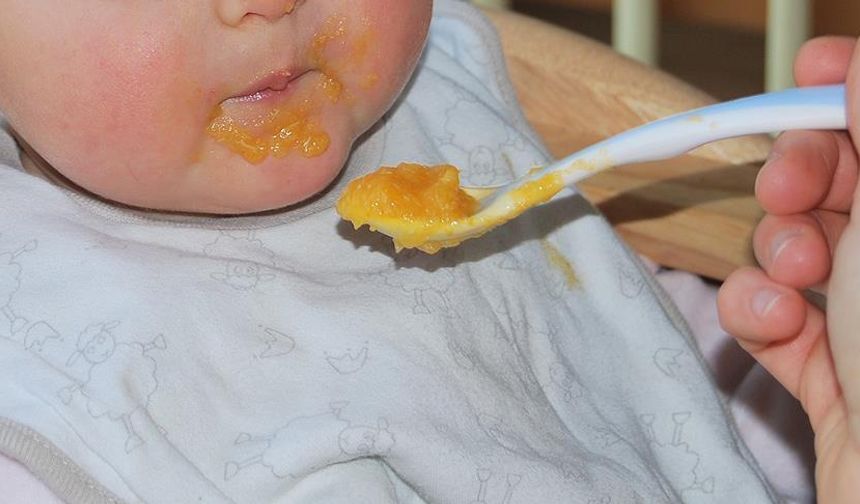 Avusturya’da Bebek Maması Alarmı: Ülke Genelinde Numuneler Toplanıyor