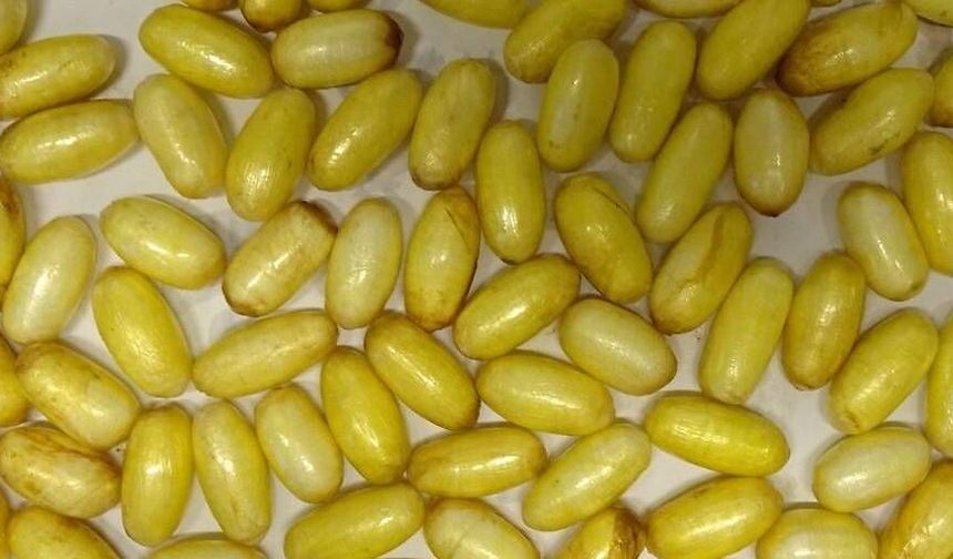 Viyana Havalimanı’nda şok operasyon: Vücudunda 85 paket kokain taşıyan şahıs yakalandı