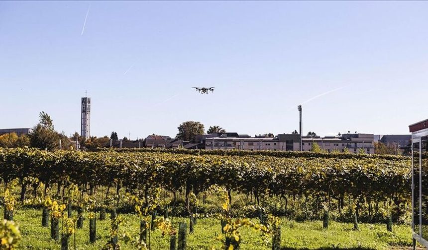 Viyana’da 200’den fazla çitçiden traktörlü protesto