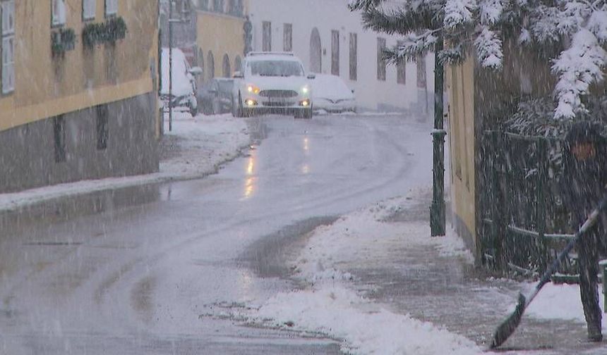 Viyana'da belediye ihalelerine kayıt dışı çalışma operasyonu: 21 adrese baskın