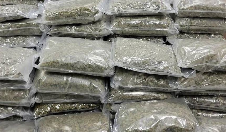 Viyana’da Büyük Uyuşturucu Operasyonu! 70 Kilo Esrar ve 6,8 Kilo Kokain Ele Geçirildi