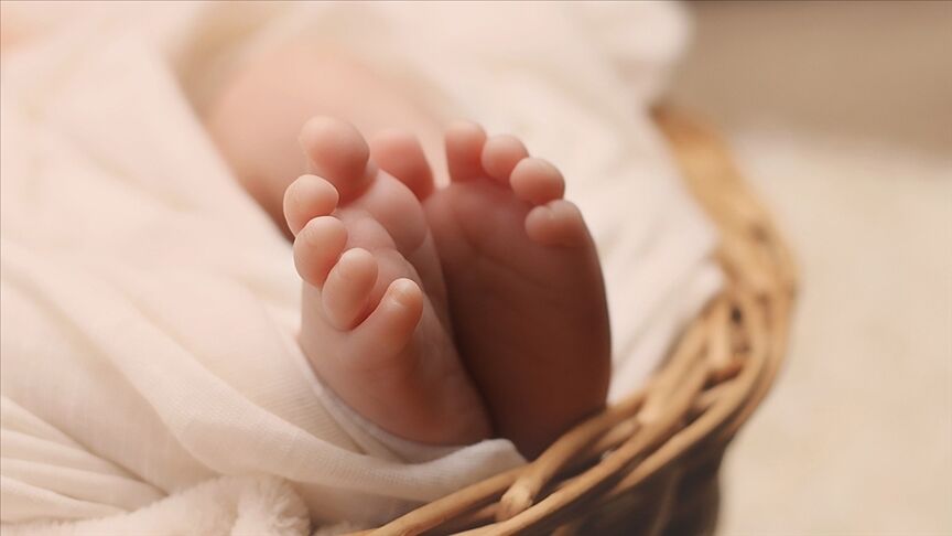 Avusturya’da Bebek Maması Soruşturması