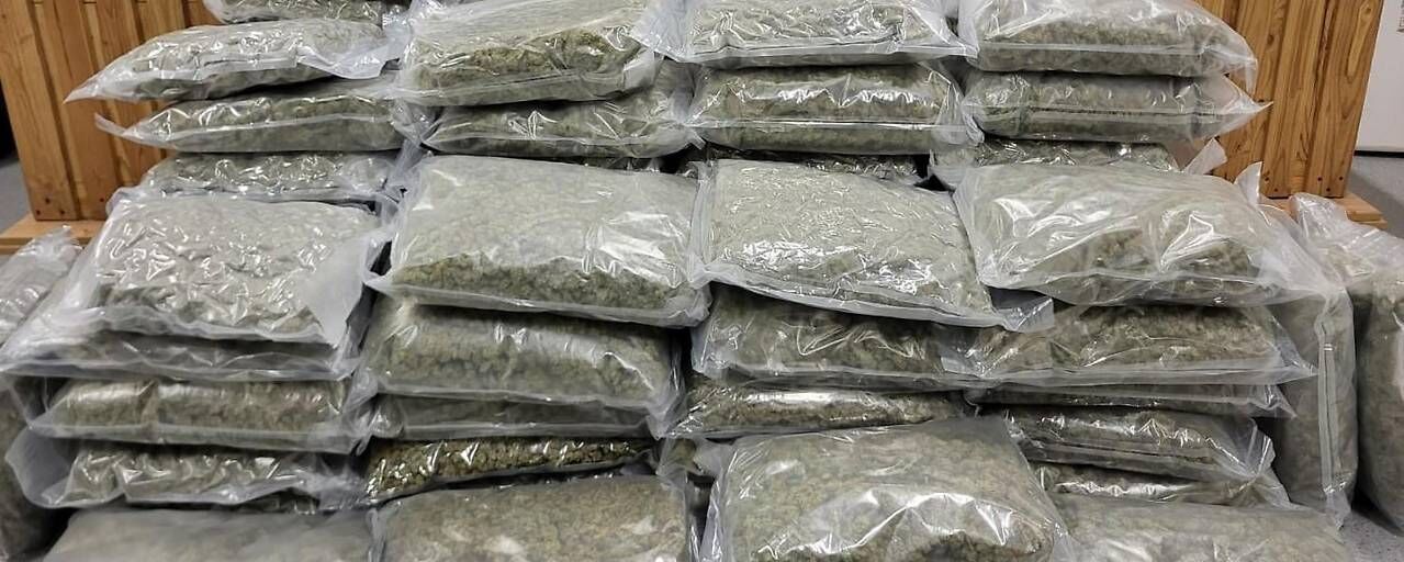 Viyana’da Büyük Uyuşturucu Operasyonu! 70 Kilo Esrar ve 6,8 Kilo Kokain Ele Geçirildi